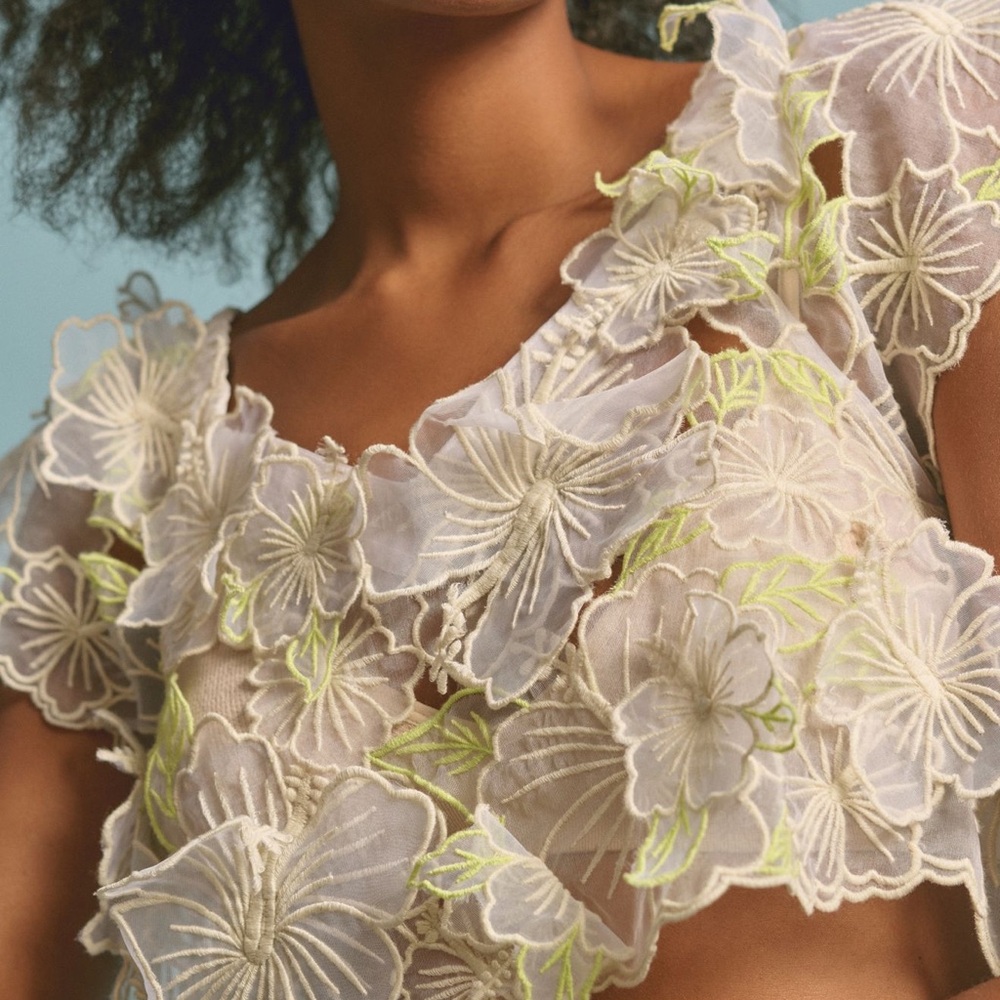 Anthropologie Cream Sheer Appliqué Top